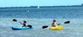 Sailboards Miami Kayak, Windsurf, Paddle Board image 5