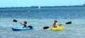 Sailboards Miami Kayak, Windsurf, Paddle Board image 5