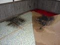 Saint Charles Flood Clean up & Mold Testing Services image 3