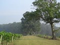 Sanders Ridge Winery & Restaurant image 4