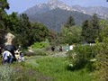 Santa Barbara Botanic Garden image 9