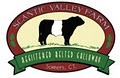 Scantic Valley Farm logo