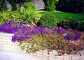 Sea Magic Landscaping Company image 3