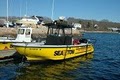 Sea Tow Cape and Islands, South Dartmouth logo