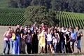 Sea to Summit Wine Tours image 3