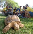 SeaWorld San Antonio Adventure Camps image 5