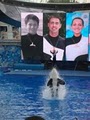 SeaWorld image 3