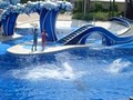 SeaWorld image 10