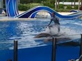 SeaWorld image 1