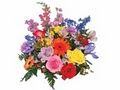 Send Flowers CT Trumbull, Bridgeport, Stratford. Shelton. City Line Florist image 8