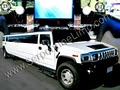 Serpentine Luxury Limo Service image 3