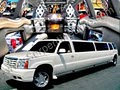 Serpentine Luxury Limo Service image 5