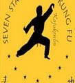 Seven Star Women's Kung Fu logo