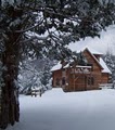 Shadow Mountain Escape (Romantic Cabin Rentals) image 5