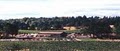 Shafer Vineyard Cellars image 2