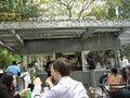 Shake Shack image 4