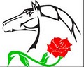 Sheila Brady- Riding Instructor logo