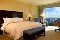 Sheraton Myrtle Beach Convention Center Hotel image 3