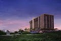 Sheraton South Padre Island Beach Hotel And Condominiums image 5