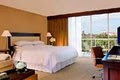 Sheraton Tampa Riverwalk Hotel image 6