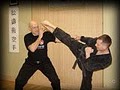 Shoto Jutsu Karate image 2