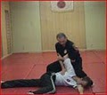 Shoto Jutsu Karate image 4