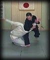 Shoto Jutsu Karate image 5