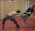 Shoto Jutsu Karate image 7