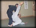 Shoto Jutsu Karate logo