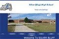 Silver Bluff High School logo