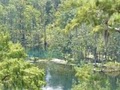Silver Springs image 5