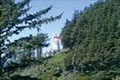 Siuslaw National Forest image 1