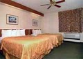 Sleep Inn image 3