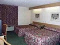 Sleep Inn image 8