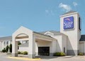 Sleep Inn image 9