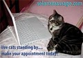 Solaris Massage image 3