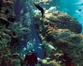 South Carolina Aquarium image 10