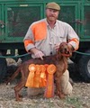 South Carolina Webfoot Retrievers Retriever Training kennel, Bird Dog Training image 6