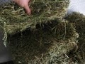 Southeast Hay Distributors, Inc. image 3