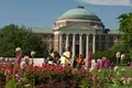 Southern Methodist University image 4
