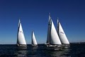 Spinnaker Sailing - San Francisco image 10