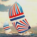 Spinnaker Sailing - San Francisco logo