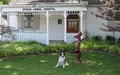 Spoede Animal Hospital image 1