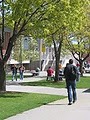 Spokane Falls Community College image 1