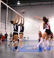 Sports Elite Girls Boys Club Volleyball Barrington, IL image 2