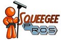 Squeegee Pros Window Cleaning and Glass Restoration logo