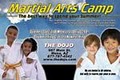 Star Martial Arts and Karate Academy Gainesville image 3