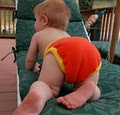 Starbunz Cloth Diapers image 6