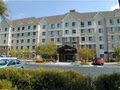 Staybridge Suites Extended Stay Hotel  in Atlanta Perimeter image 1