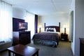 Staybridge Suites Indianapolis Downtown / Conv Center image 3